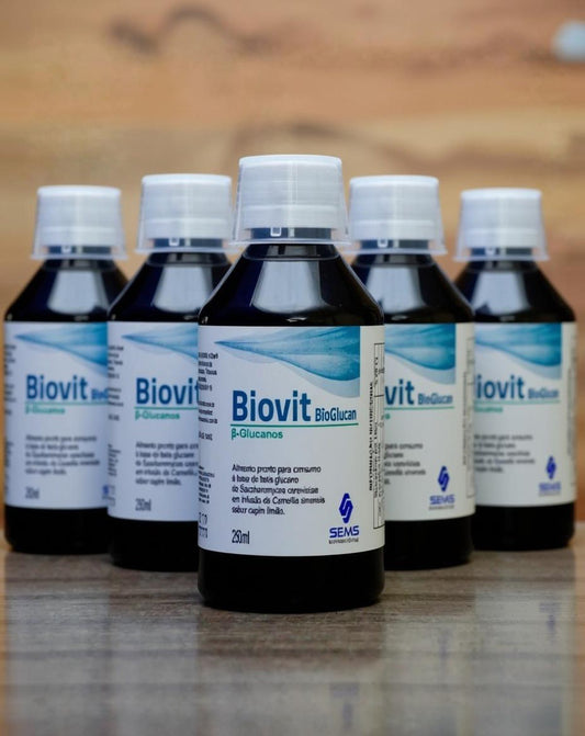 Biovit Immune Support Kit – 6 Pack